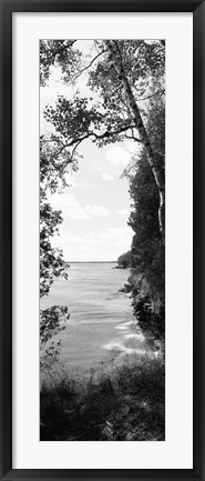 Framed Trees at the lakeside in black and white, Lake Michigan, Wisconsin Print