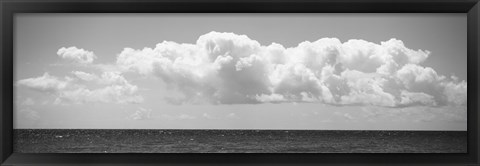 Framed Caribbean Sea Print