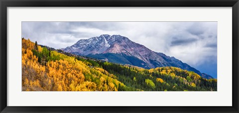 Framed Trees on mountains, San Juan National Forest, Colorado, USA Print