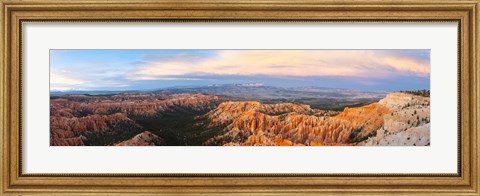 Framed Bryce Canyon from Bryce Point in the evening, Bryce Canyon National Park, Utah, USA Print