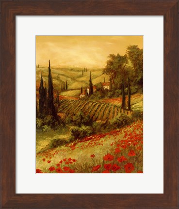 Framed Toscano Valley II Print