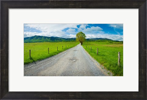 Framed Country gravel road passing through a field, Hyatt Lane, Cades Cove, Great Smoky Mountains National Park, Tennessee Print