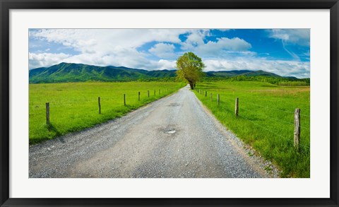 Framed Country gravel road passing through a field, Hyatt Lane, Cades Cove, Great Smoky Mountains National Park, Tennessee Print