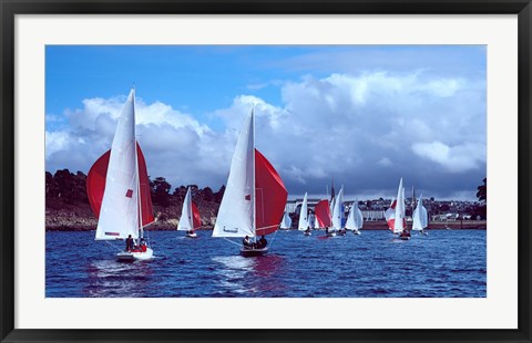 Framed Dragon regatta in Baie De Douarnenez, Finistere, Brittany, France Print