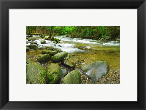 Framed Stream following through a forest, Little River, Great Smoky Mountains National Park, Tennessee, USA Print