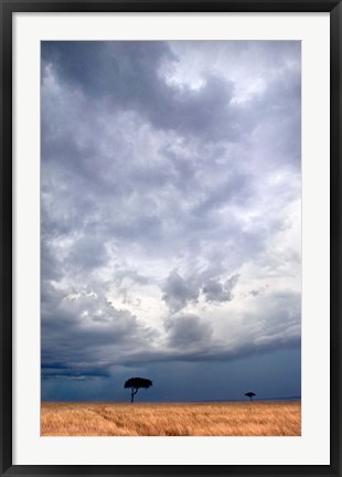 Framed Two trees on a landscape, Masai Mara National Reserve, Kenya Print