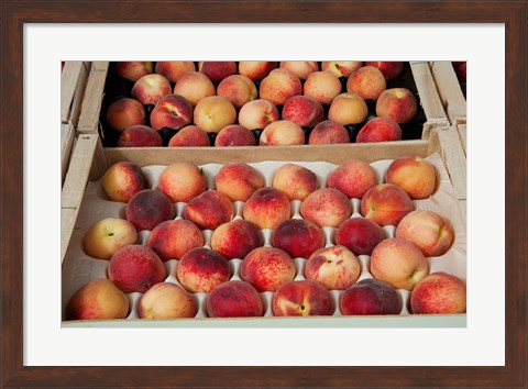 Framed Peaches at a market stall, Lourmarin, Vaucluse, Provence-Alpes-Cote d&#39;Azur, France Print