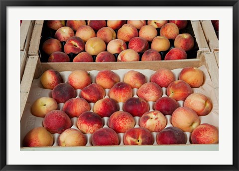 Framed Peaches at a market stall, Lourmarin, Vaucluse, Provence-Alpes-Cote d&#39;Azur, France Print