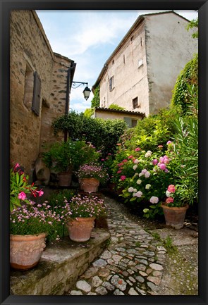 Framed Flowers pots on street, Lacoste, Vaucluse, Provence-Alpes-Cote d&#39;Azur, France Print