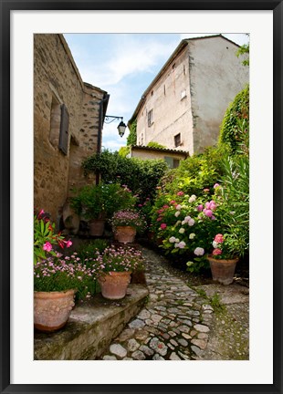 Framed Flowers pots on street, Lacoste, Vaucluse, Provence-Alpes-Cote d&#39;Azur, France Print