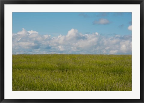 Framed Lavender Field, France Print