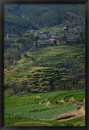 Framed Houses with terraced fields at mountainside, Heqing, Yunnan Province, China Print