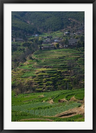Framed Houses with terraced fields at mountainside, Heqing, Yunnan Province, China Print