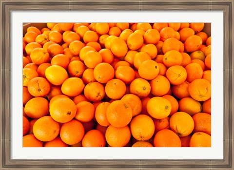 Framed Close-up of oranges, Santa Paula, Ventura County, California, USA Print