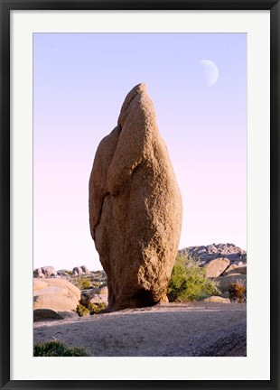 Framed Rock formations at Joshua Tree National Park, California, USA Print