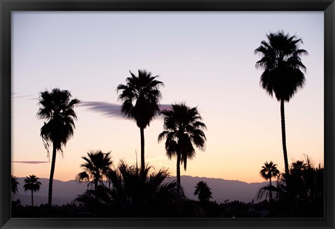 Framed Silhouette of palm trees at dusk, Palm Springs, Riverside County, California, USA Print