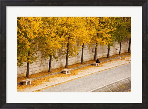 Framed Riverfront, Ile de la Cite, Paris, Ile-de-France, France Print