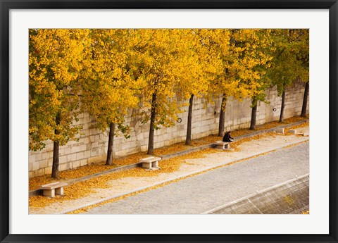 Framed Riverfront, Ile de la Cite, Paris, Ile-de-France, France Print