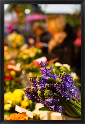 Framed Bunch of flowers at a flower shop, Rue De Buci, Paris, Ile-de-France, France Print