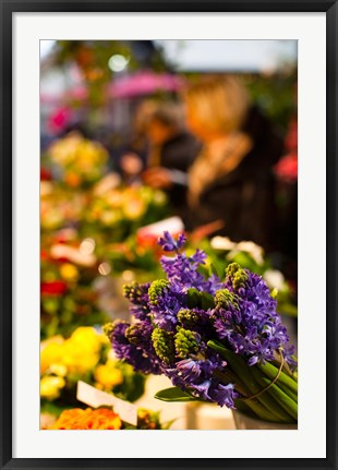 Framed Bunch of flowers at a flower shop, Rue De Buci, Paris, Ile-de-France, France Print