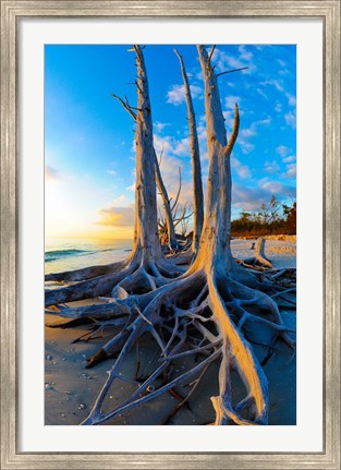 Framed Lovers Key State Park, Lee County, Florida Print