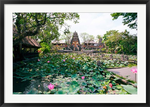 Framed Water lilies in a pond at the Pura Taman Saraswati Temple, Ubud, Bali, Indonesia Print