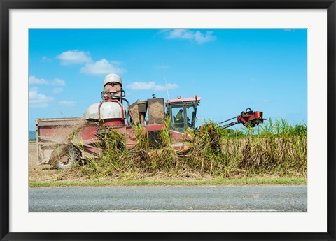 Framed Sugar Cane being Harvested, Australia Print