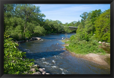 Framed River passing through a forest, Beaver River, Ontario, Canada Print