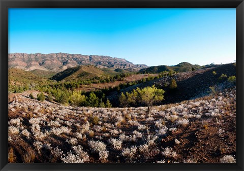 Framed Typical outback landscape, Hawker, Flinders Ranges National Park, South Australia, Australia Print