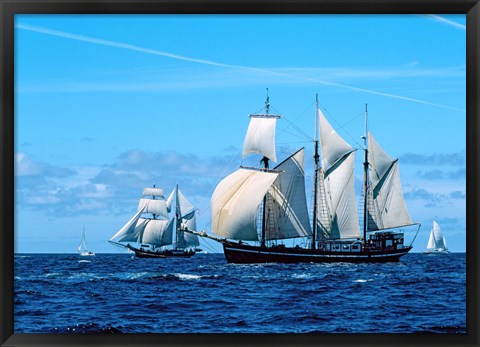 Framed Tall ship regatta, France Print