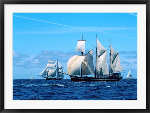 Framed Tall ship regatta, France Print