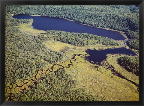 Framed Aerial view of a lake, Algonquin Provincial Park, Ontario, Canada Print