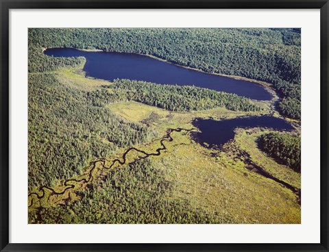 Framed Aerial view of a lake, Algonquin Provincial Park, Ontario, Canada Print