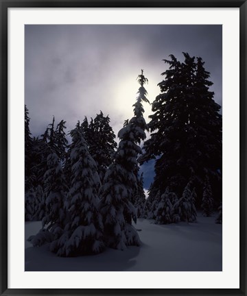 Framed Munson Ridge, Crater Lake National Park, Oregon Print