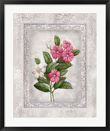 Framed Floral III Print