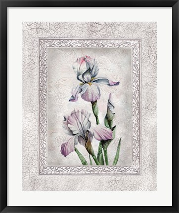 Framed Floral IV Print