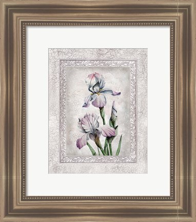 Framed Floral IV Print