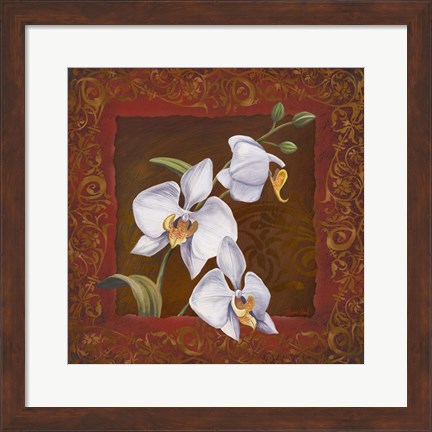 Framed Orchid Study I Print