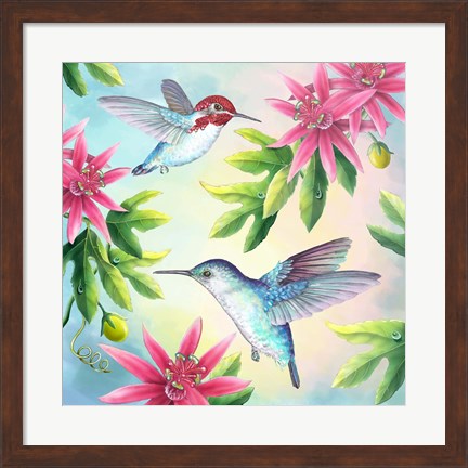 Framed Bee Hummingbirds Print