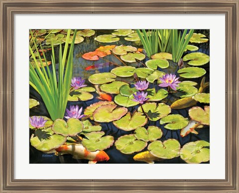 Framed Koi Pond II Print