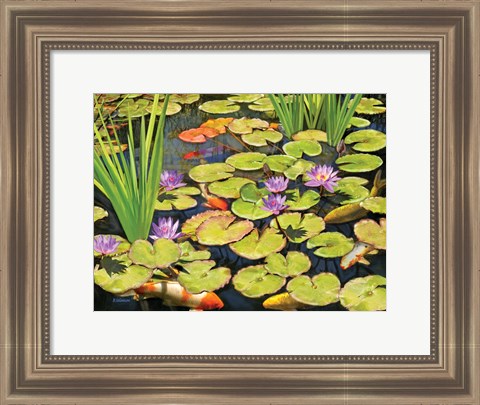 Framed Koi Pond II Print