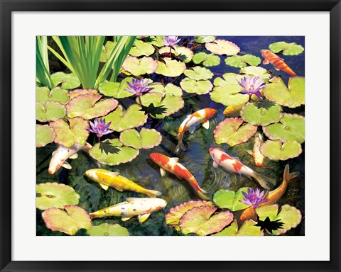 Framed Koi Pond IV Print