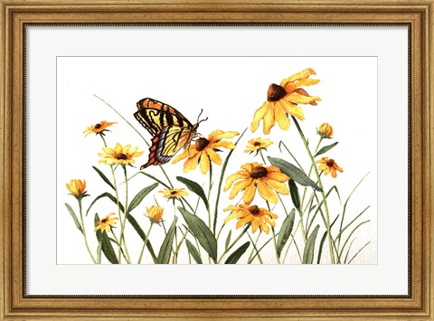 Framed Butterfly &amp; Black Eyed Susans Print