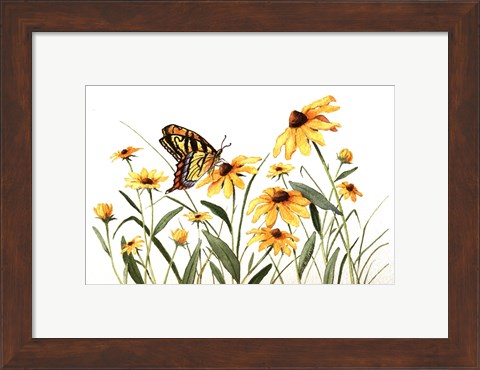 Framed Butterfly &amp; Black Eyed Susans Print