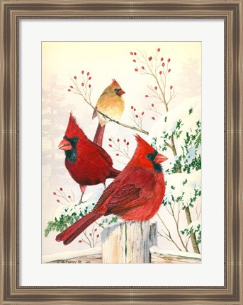 Framed Cardinals In Winter Print