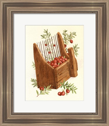 Framed Cranberry Scoop Print