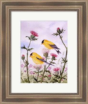 Framed Goldfinch and Thistle Print