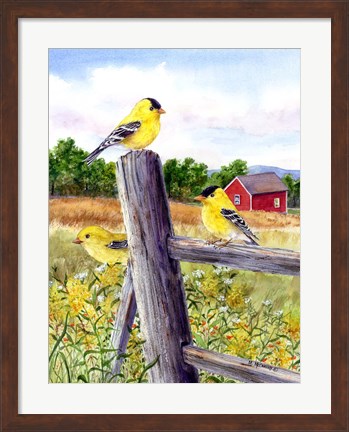 Framed Goldfinch Print