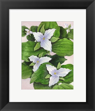 Framed Large Flowered White Print