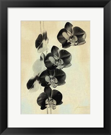 Framed Orchid Blush Panels III Print